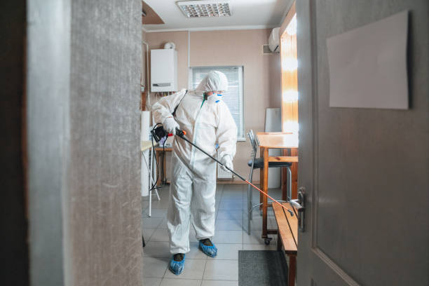Best Crawl Space Mold Remediation  in Texanna, OK