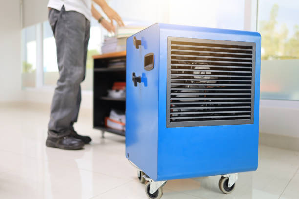 Professional Mold Removal in Texanna, OK